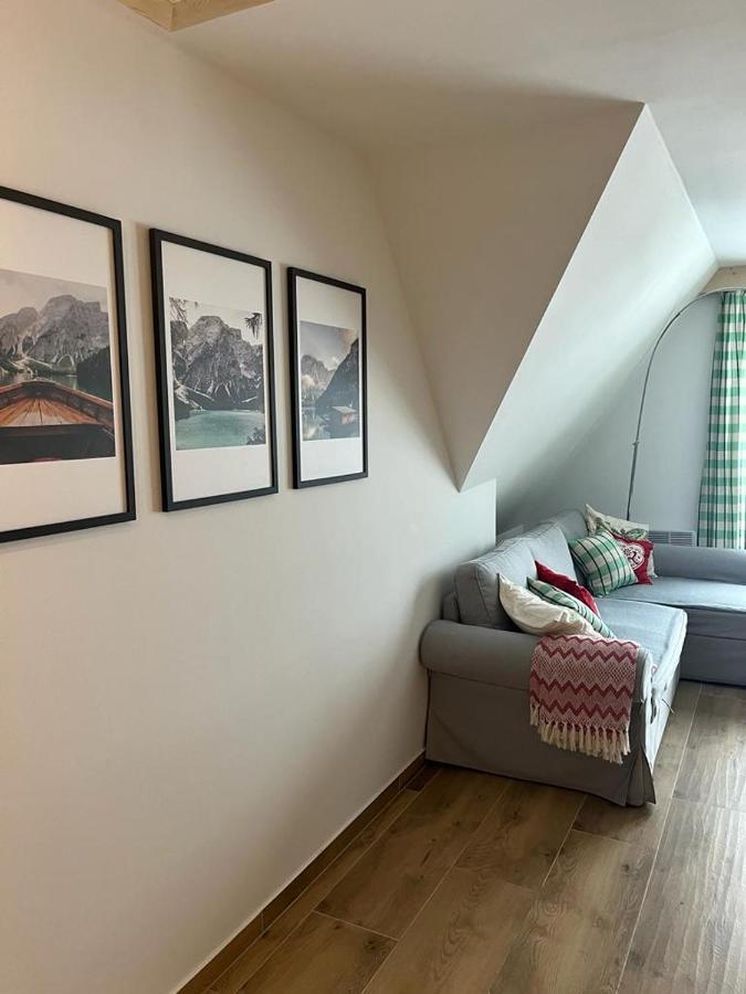 Apartament Czerwone Wierchy Z Widokiem Na Giewont 코스실리스코 외부 사진